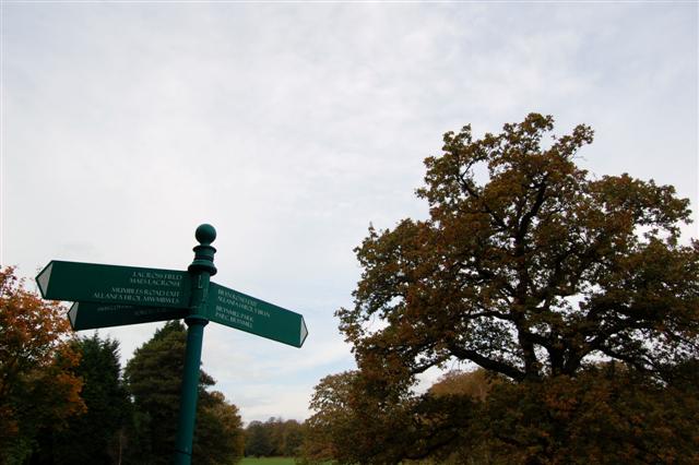 Singleton Park - Swansea, Wales