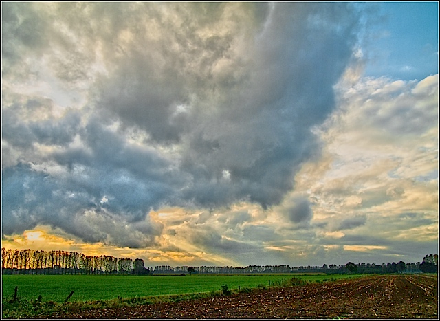 After the rain