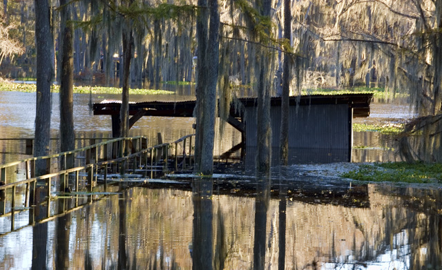 Bayou By Me