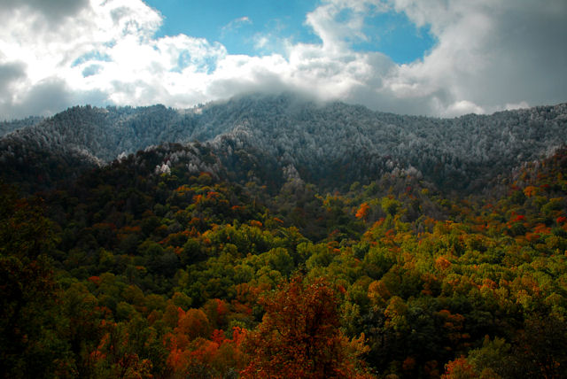 My Great Smoky Mountains