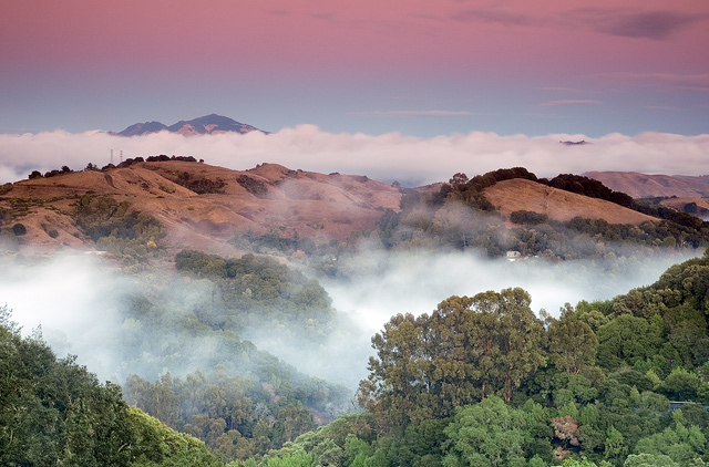 The East Bay Hills