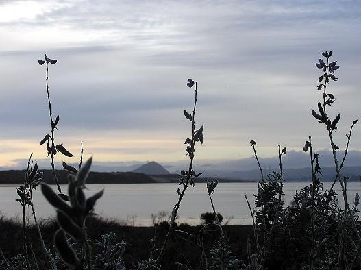 Morro Bay California