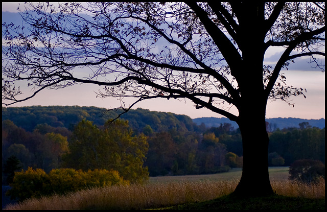 Valley Forge