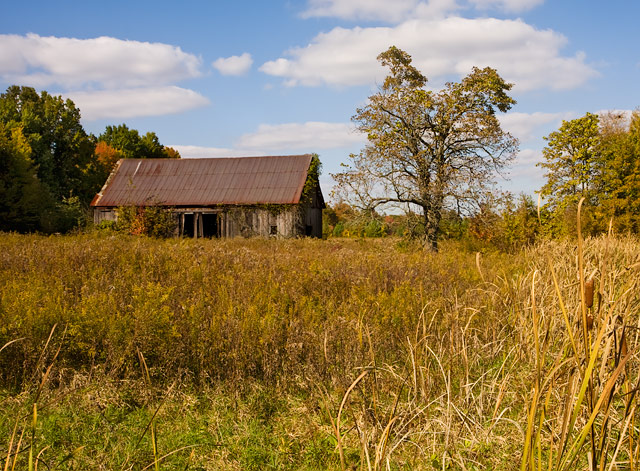 Autumn Barn