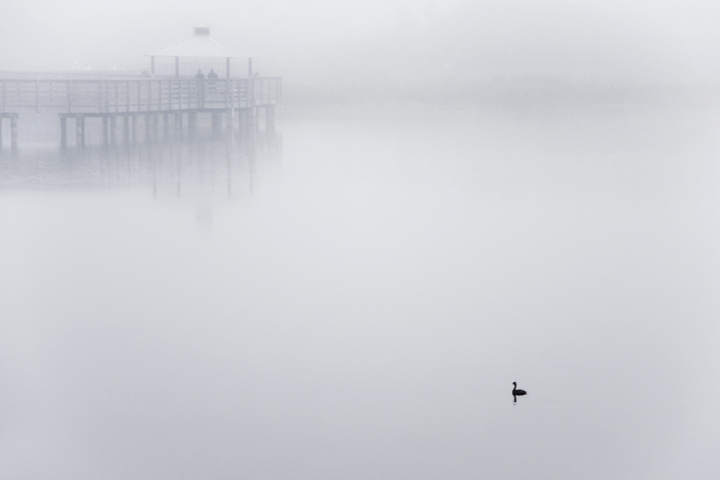 High Key / Rule of Thirds / Soft Focus