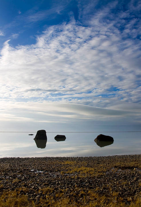 Centered comp, Deep DOF, Rule of Thirds.