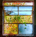 Colors of Fall break thru