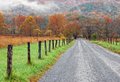 Into the Great Smoky Mountains