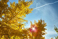 October at Noon