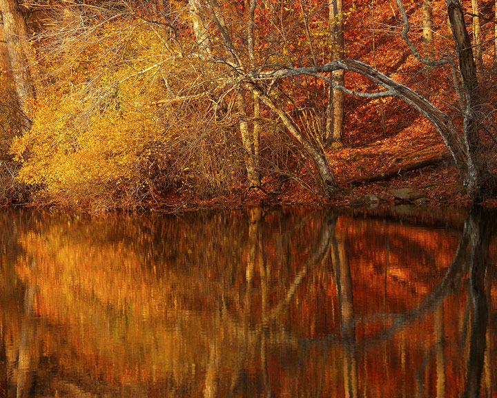 Down by the river