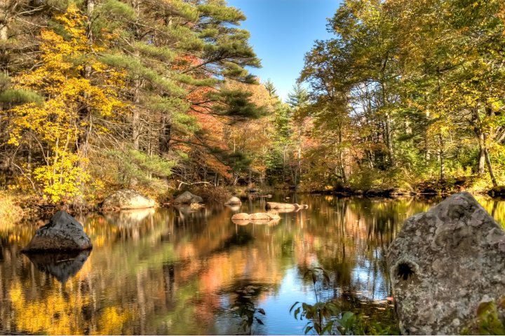 Reflecting on Fall