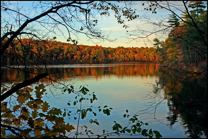 Golden Hour Over Walden Pond