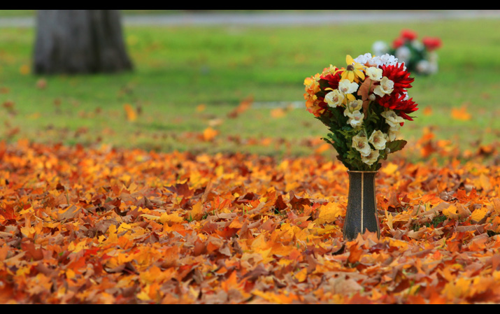 Autumn at Rest