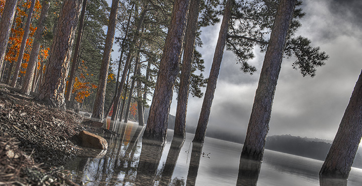 Ouachita Morning Reflections