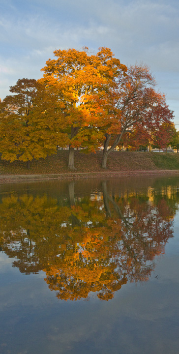 Maple Multiplied