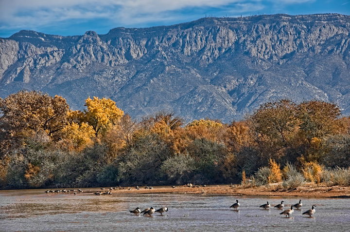 Fall on the Bosque