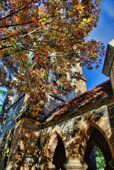 the tree and the church