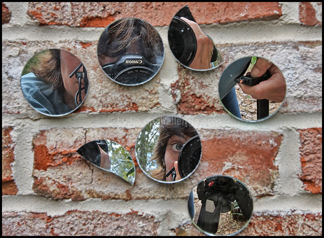 Photography:  Putting the Pieces Together