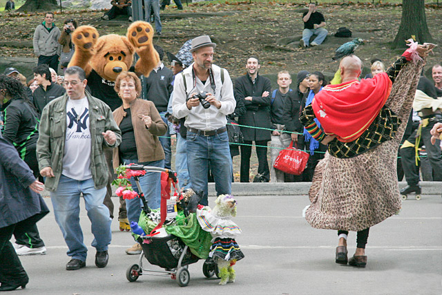 Waiting for the Decisive Moment