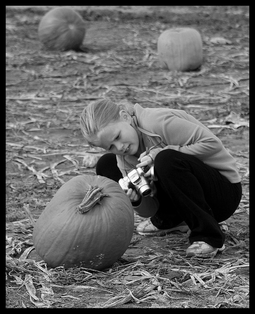 Checking the Histogram