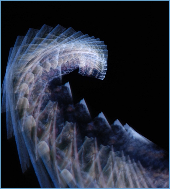 'Motion' Picture