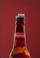King of Beers