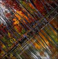 Autumn's Reflection