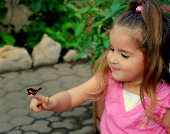 Mommy, the butterfly loves me too!