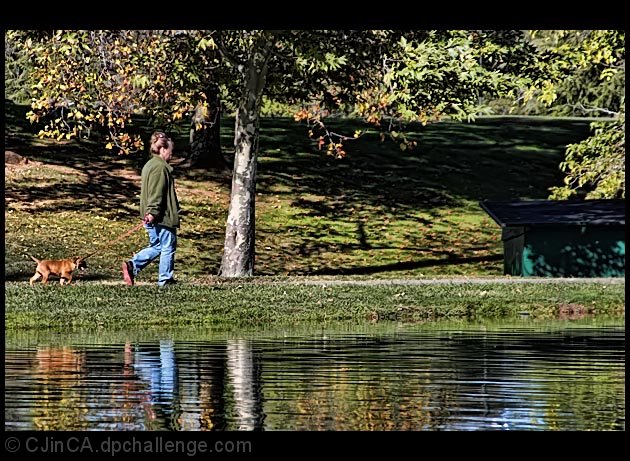 A Walk in the Park