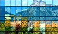 Landscape Reflected