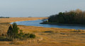 Lowlands