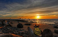 Coastal Treasure