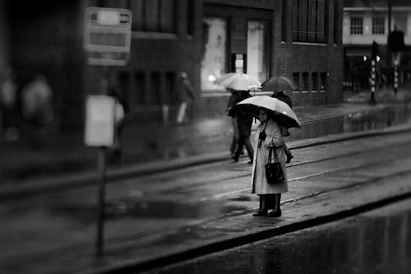 Waiting in the rain.