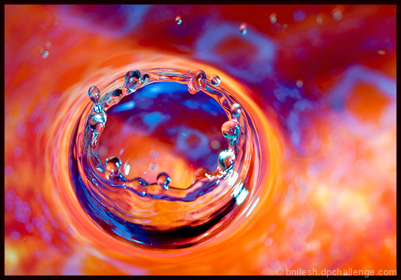 Splash Of Color