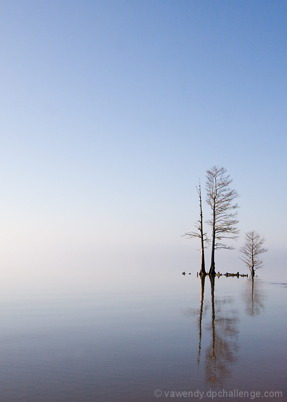 High Tide on the River