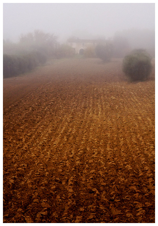 Up to the foggy house