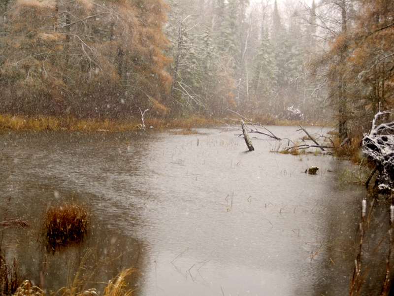 Fall collides with Winter
