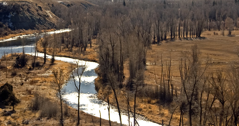 view from the train