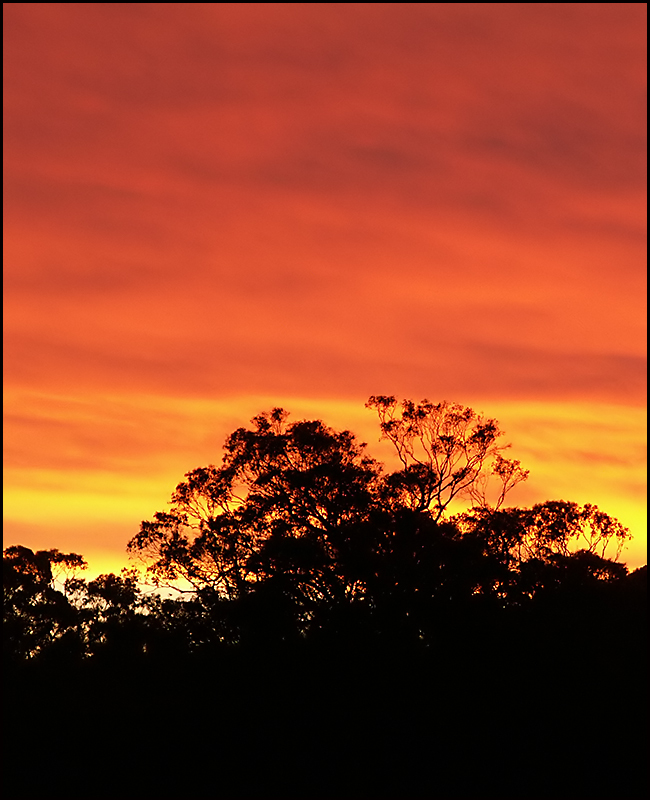 Sunset Silhouette