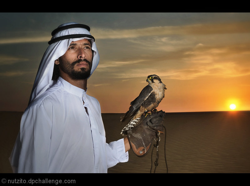 Falconry