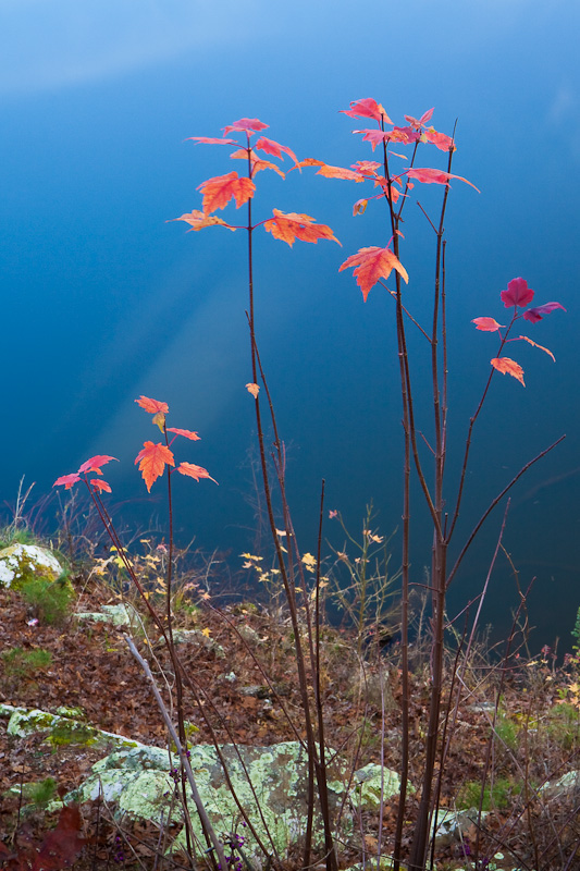 Standing by Lake Sylvia