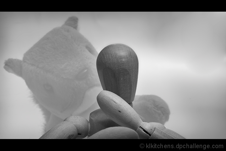 squirrel haunting