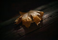 Leaf me alone