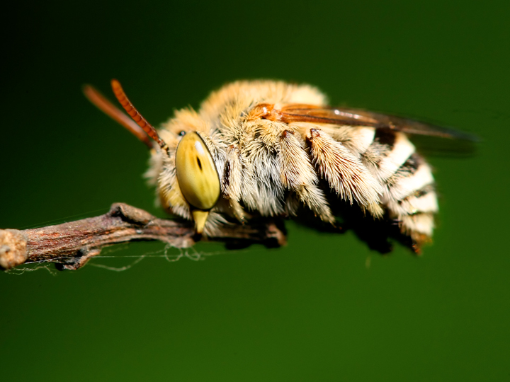 47 Steps & a Macro