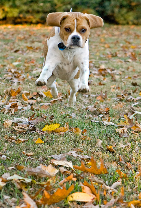 Lets Play!