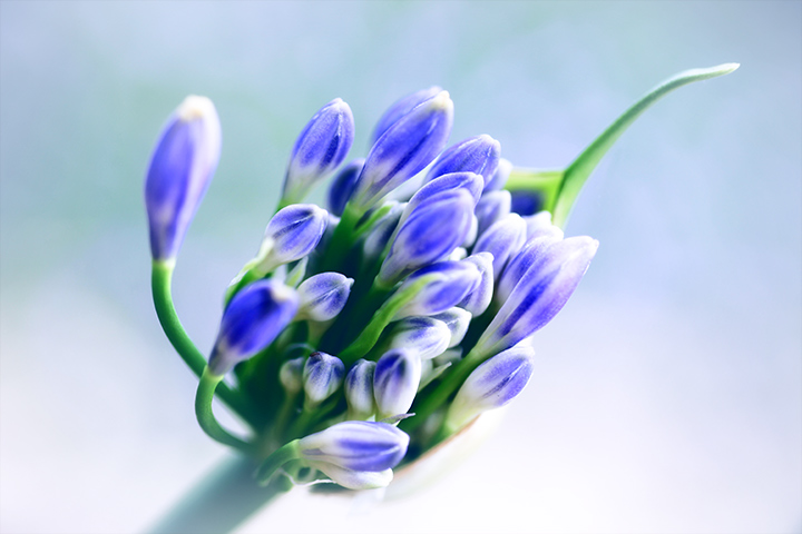 Emergence