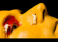 Caution! Wet Paint!