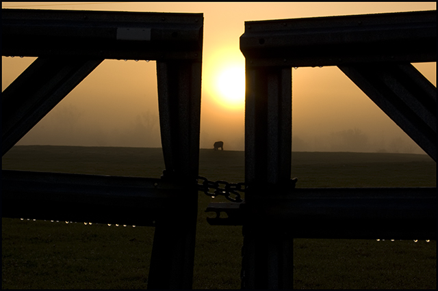 Gazing Through the Gate