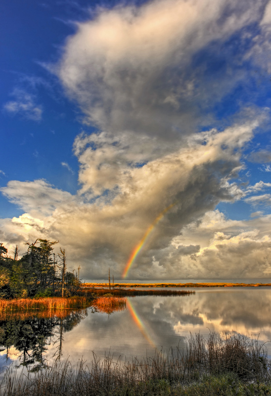 Rainbow Sky