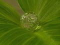 Sphere